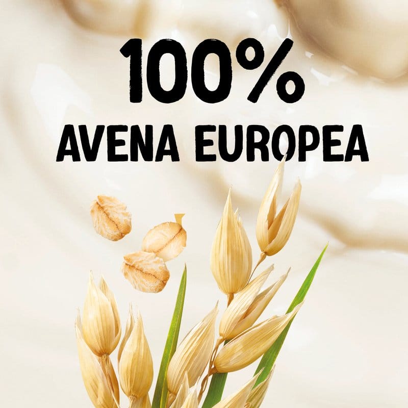 ALPRO BARISTA – Bevanda Vegetale all’Avena 1L