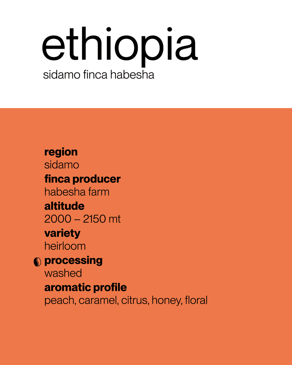 Ethiopia 🇪🇹 Sidamo Finca Habesha