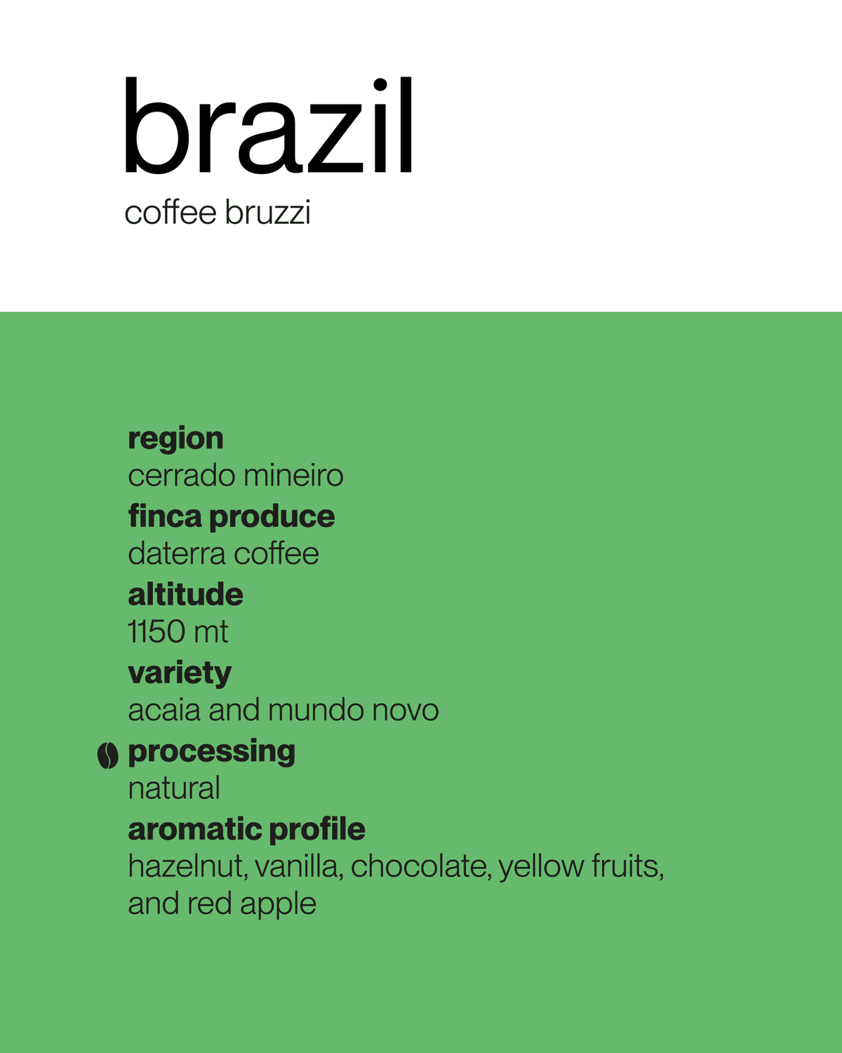 Brazil 🇧🇷 Bruzzi