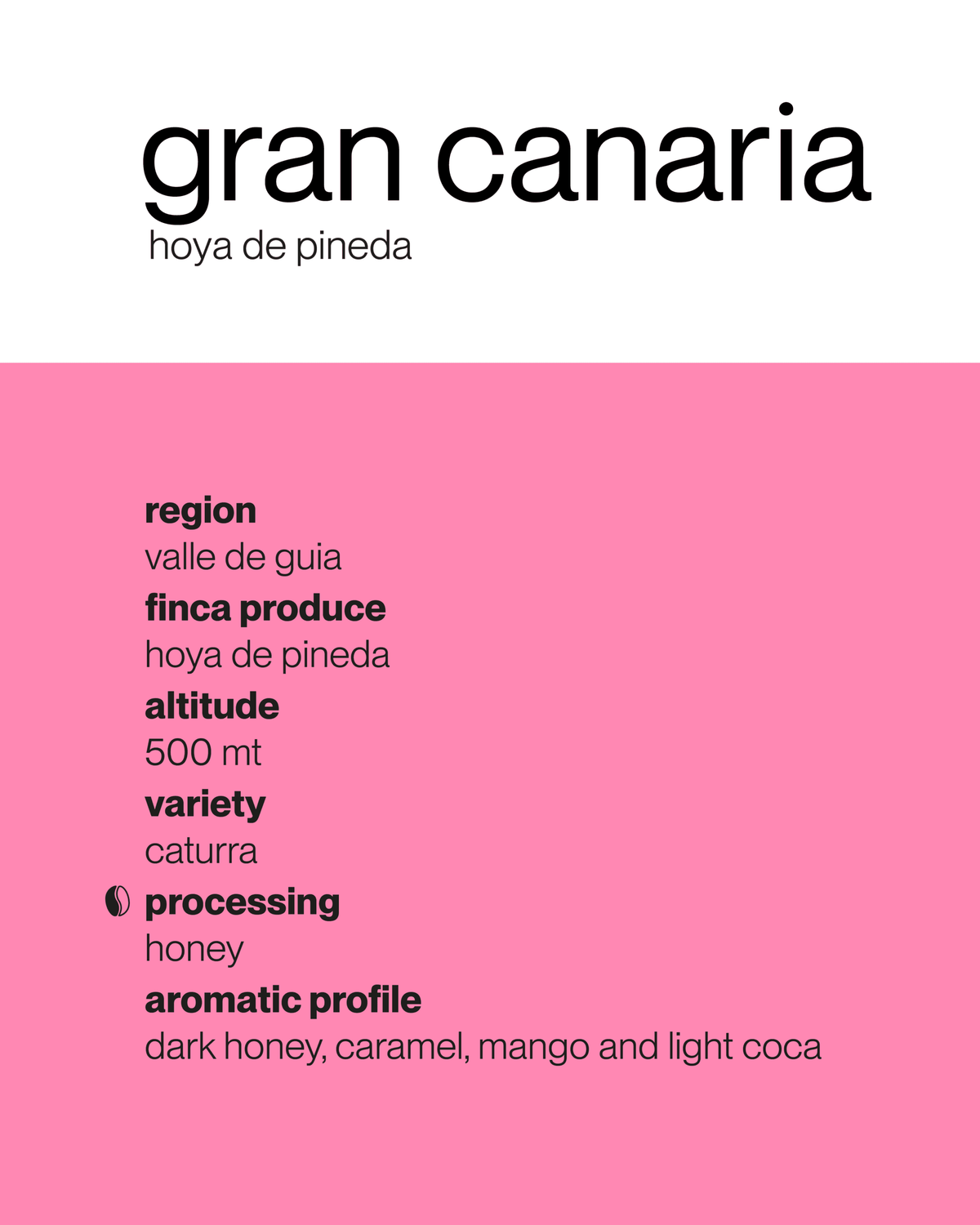 Gran Canaria 🇮🇨 Hoya de Pineda