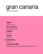 Gran Canaria 🇮🇨 Hoya de Pineda - immagine 2