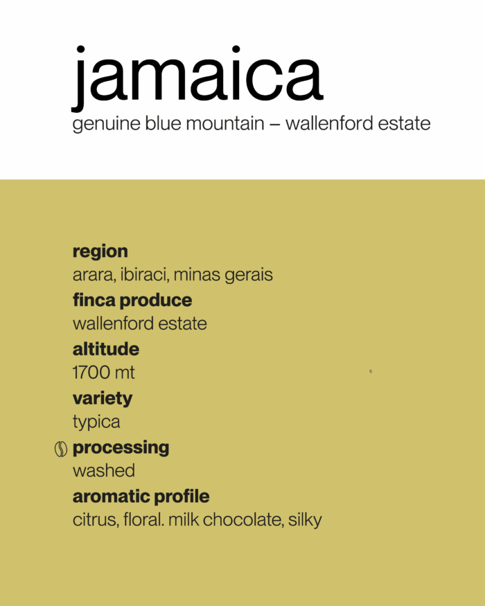 Jamaica 🇯🇲 Genuine Blue Mountain - immagine 2