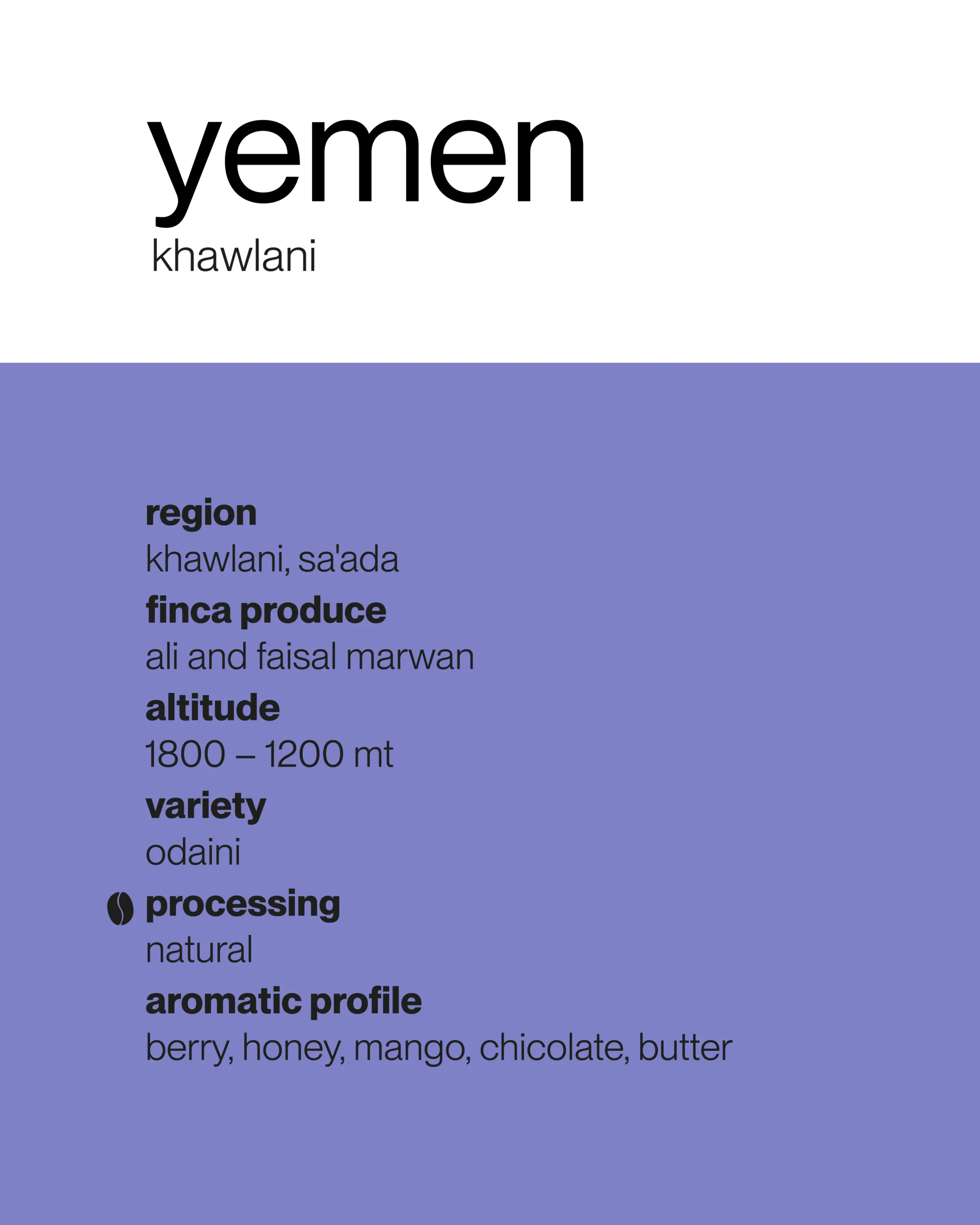 Yemen 🇾🇪 Khawlani Odaini - immagine 2