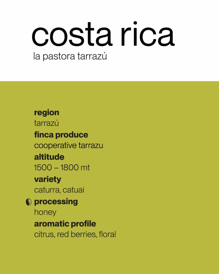 Costa Rica 🇨🇷 La Pastora Tarrazú - immagine 2